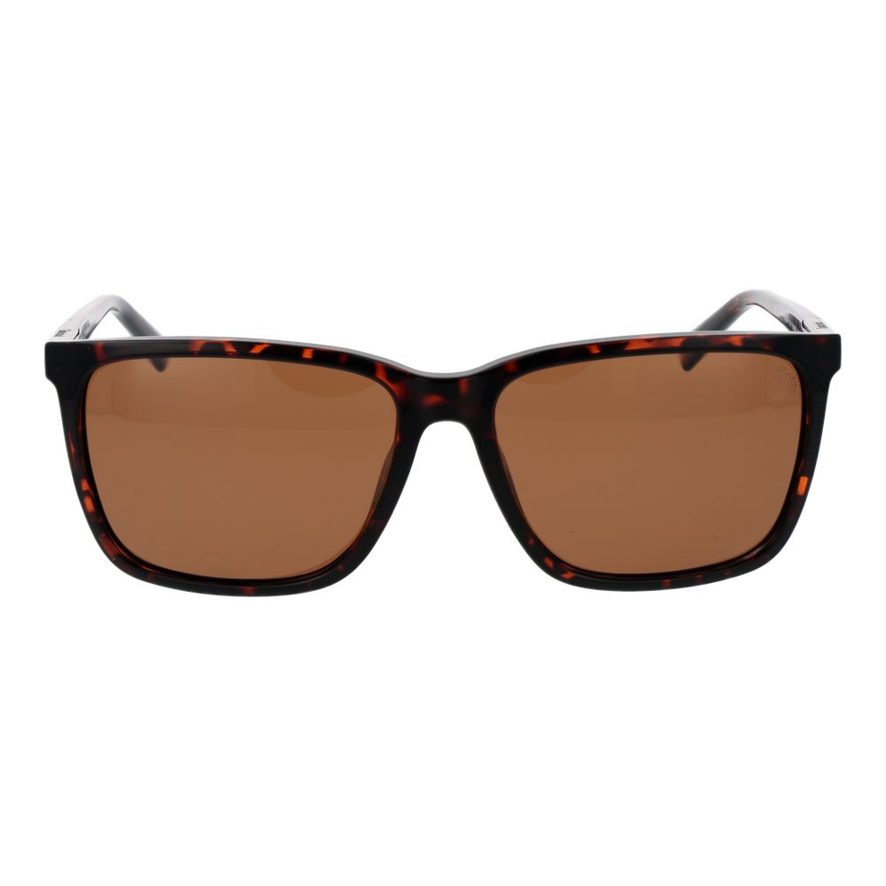Brown Men Sunglass Timberland