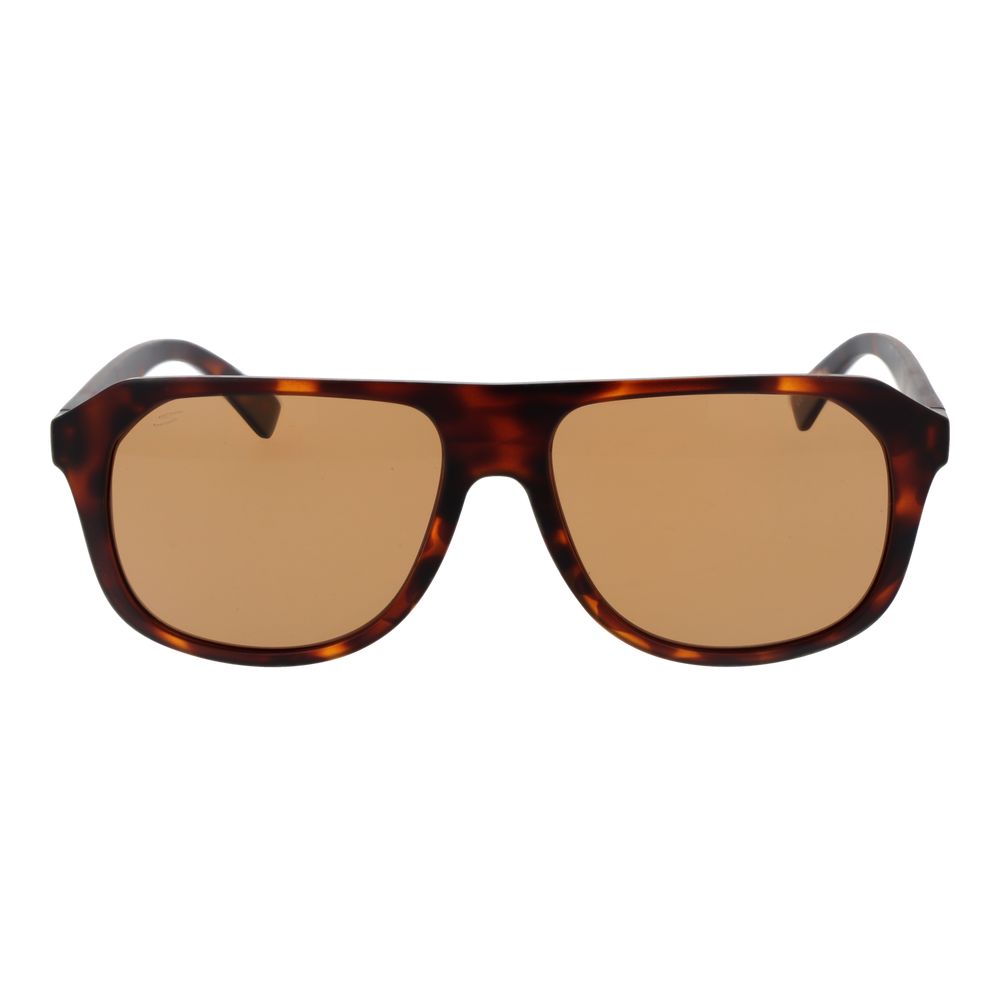 Brown Men Sunglass Serengeti