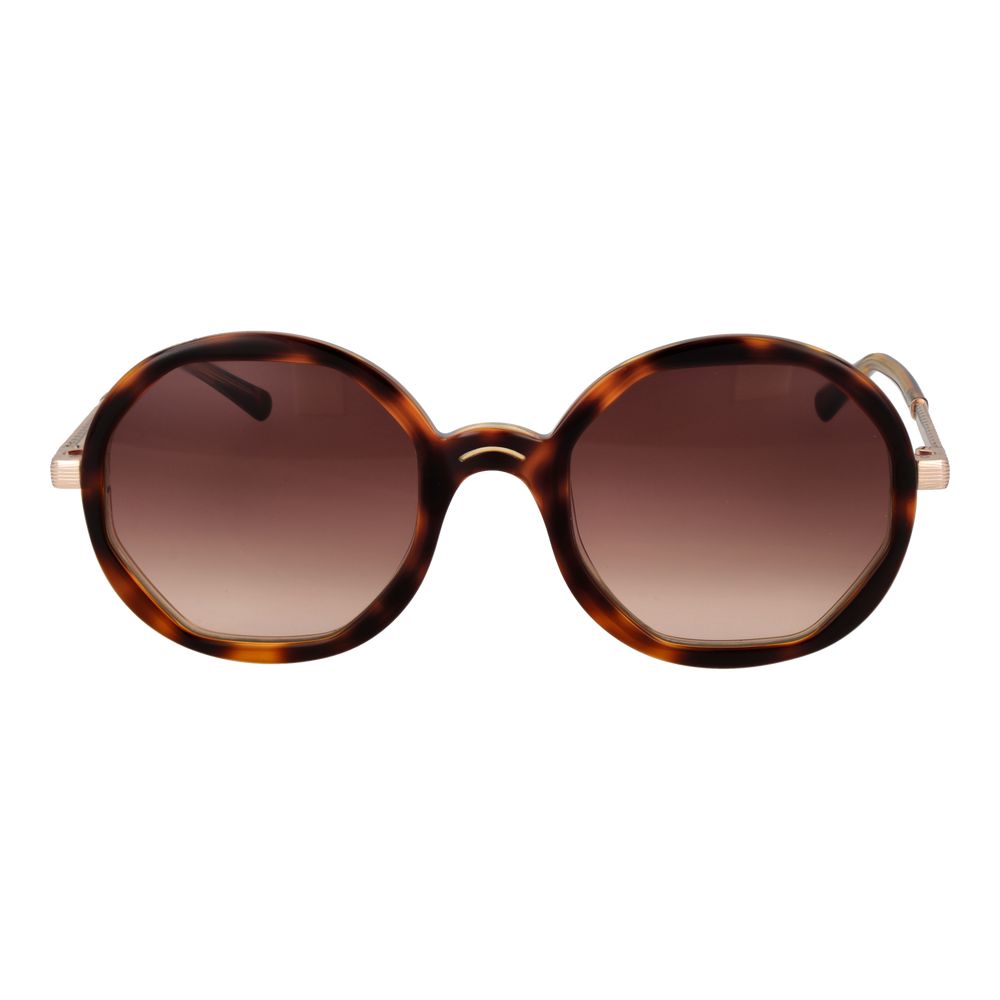 Brown Women Sunglass Sandro