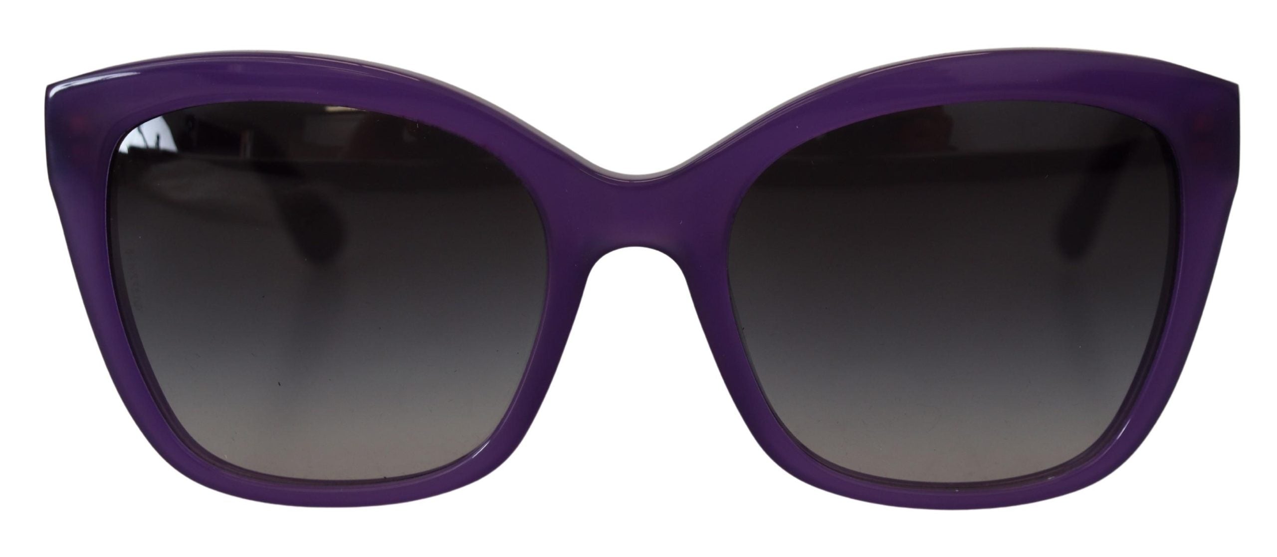 Purple Acetate Square Full Rim DG4240 Sunglasses Dolce & Gabbana