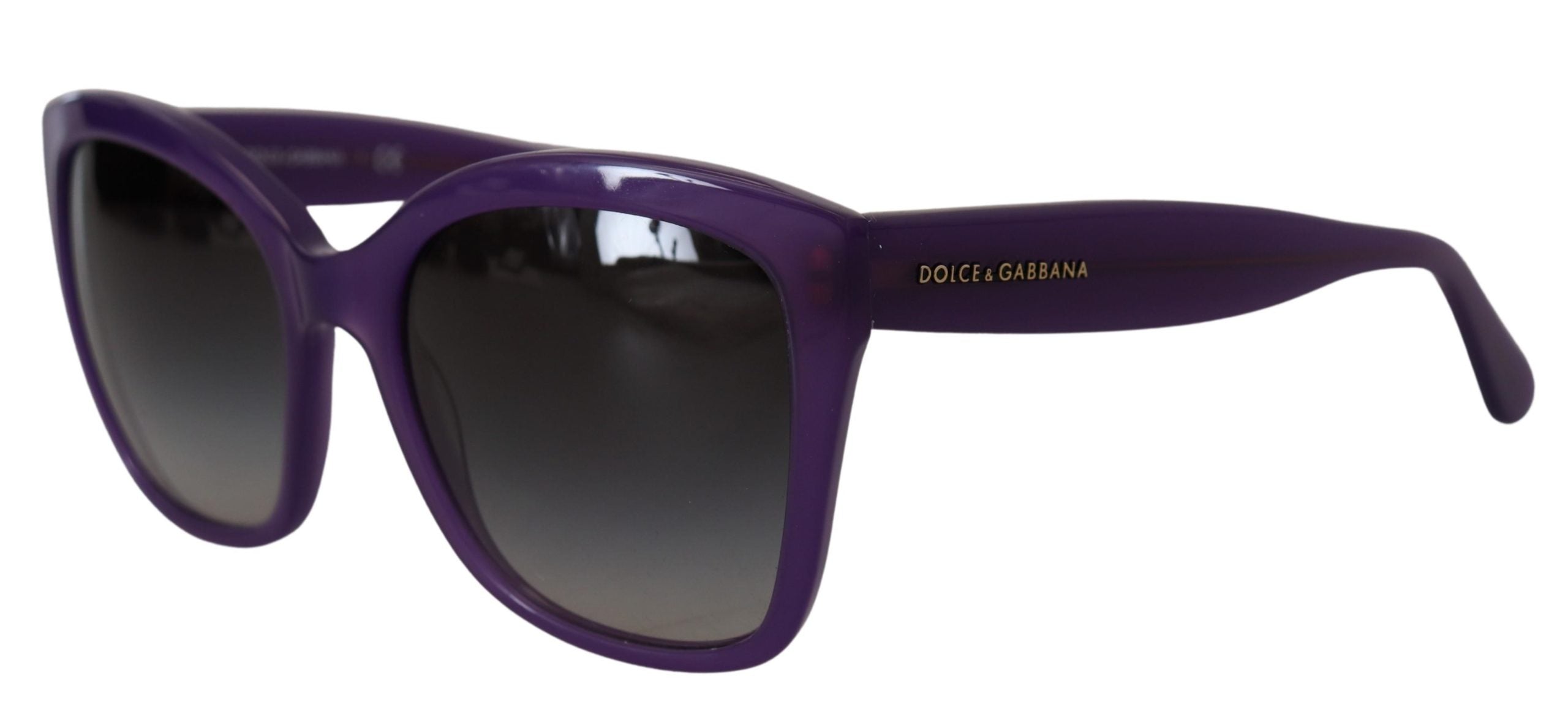 Purple Acetate Square Full Rim DG4240 Sunglasses Dolce & Gabbana