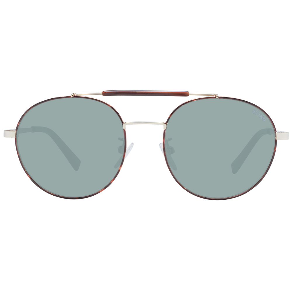 Brown Men Sunglass Sting