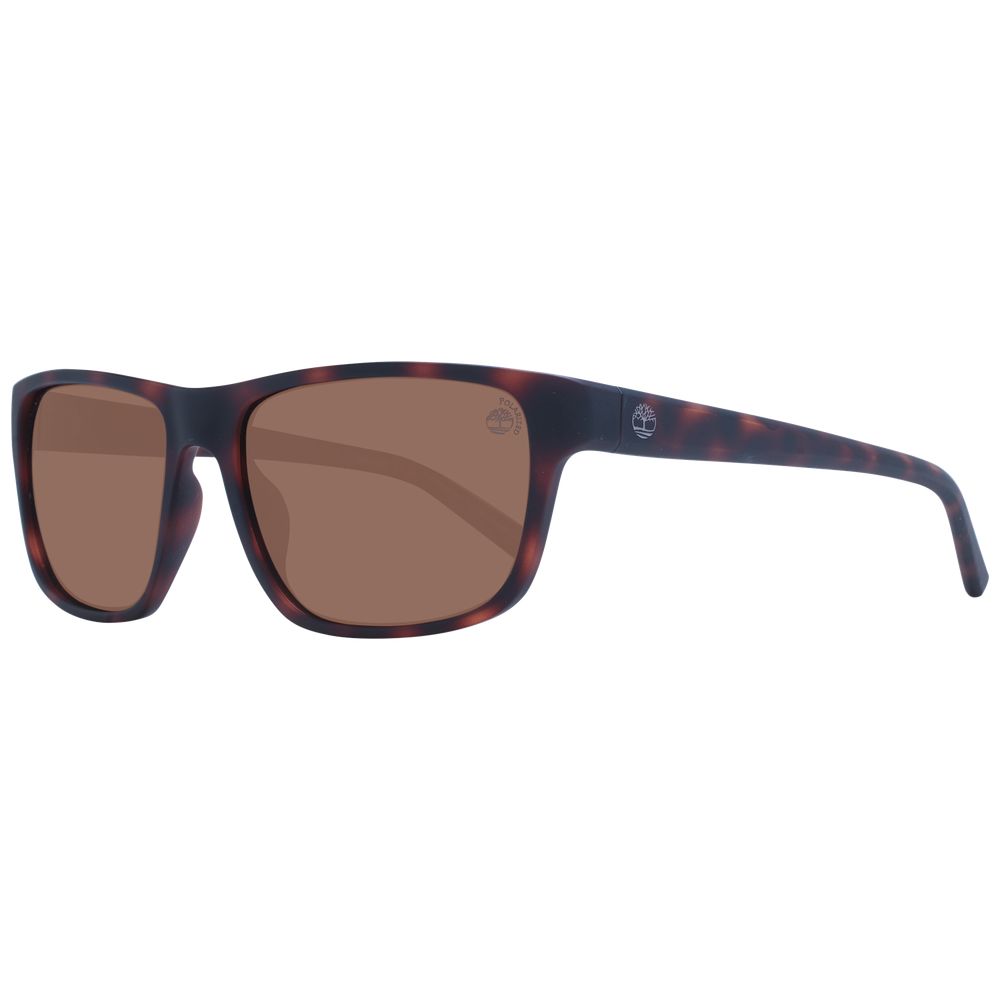 Brown Men Sunglass Timberland