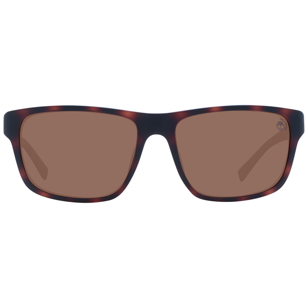 Brown Men Sunglass Timberland