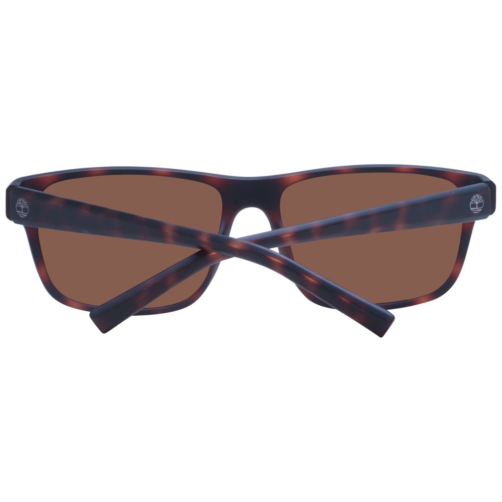 Brown Men Sunglass Timberland