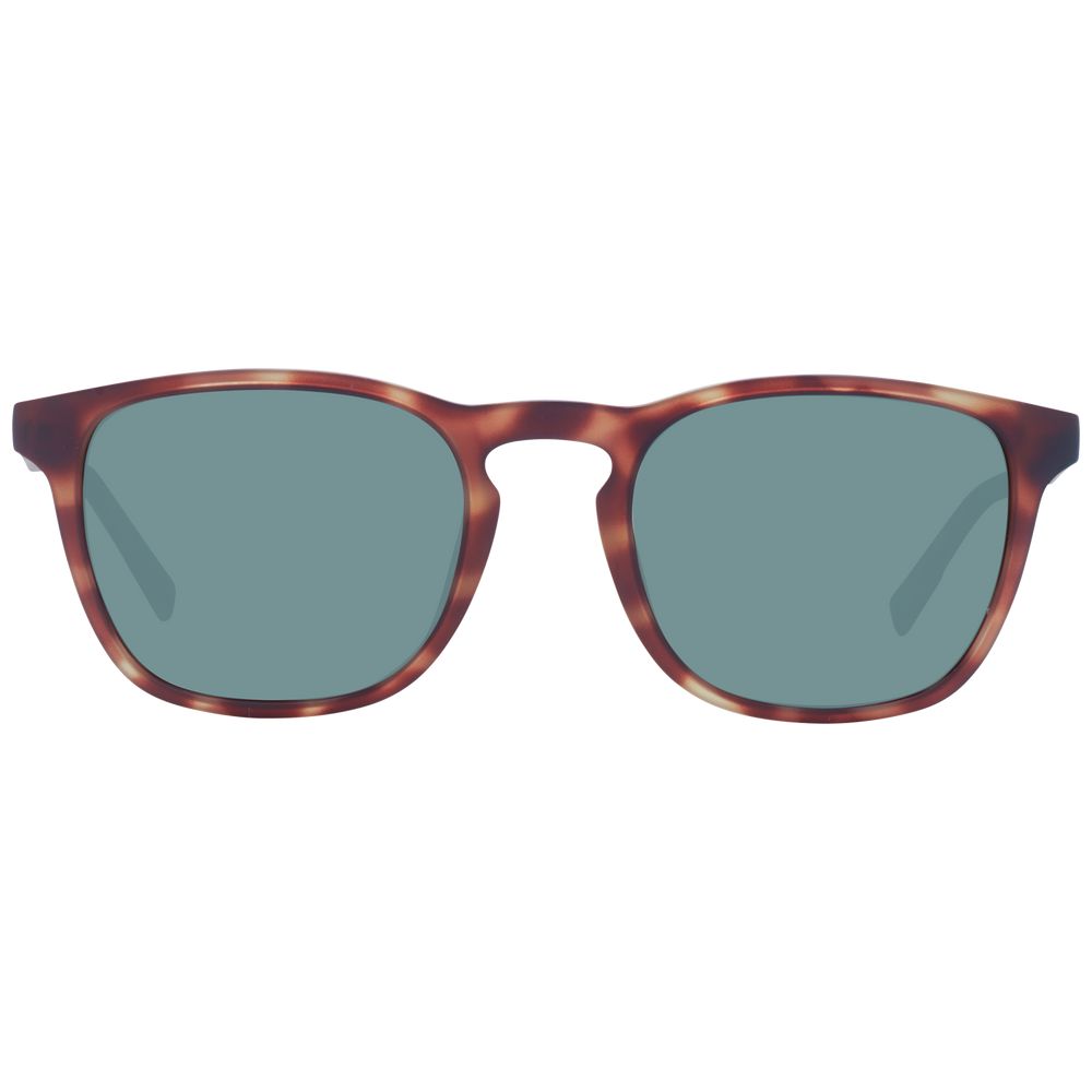 Brown Men Sunglass Timberland