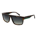 Brown Men Sunglass Timberland