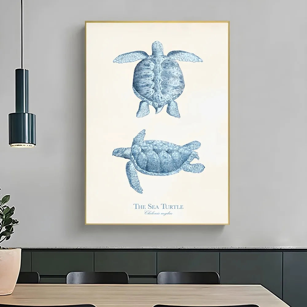 1PC Marine Life Wall Decor posters Dropshipman Turtle 10x15cm No Frame